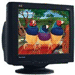 E90fB 19-inch (18.0 vis) Monitor, Black