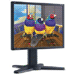 VP930b 19-inch LCD Monitor, Black