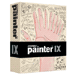 Painter IX