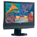 ViewSonic VG1930wm 19-inch LCD Multimedia Monitor