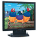 VA902b 19-inch LCD Monitor, Black