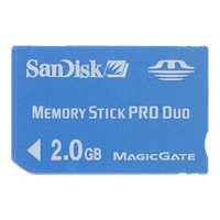 2GB Memory Stick PRO Duo Flash Memory Card