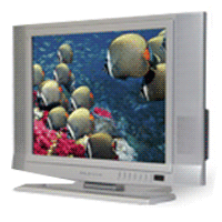 20-inch LCD TV