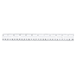 Standard Metric Ruler, 12" Long, Holes for Binders, Clear